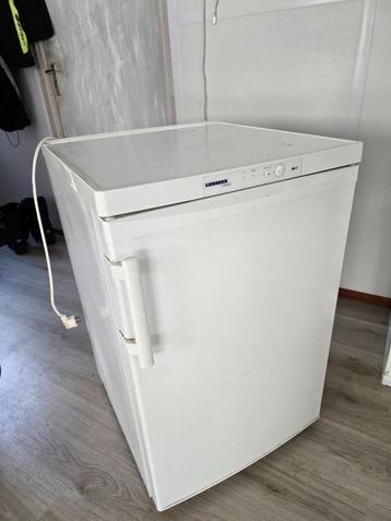 vriezer beschikbaar voor biedingen