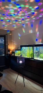 Te huur! Discolicht / discolamp voor €15, Ophalen, Zo goed als nieuw, Geboorte of Huwelijk