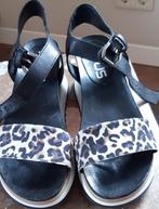 Sandalen merk Mjus, maat 38, Zwart, Zo goed als nieuw, Mjus, Sandalen of Muiltjes