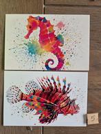 ONDER WATER A  5, Ophalen, Hond of Kat