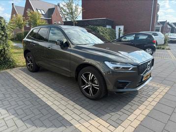 Volvo XC60 T8 Twin Engine 405pk Geartronic AWD 2020 Grijs beschikbaar voor biedingen