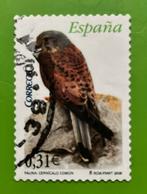 Roofvogel, Ophalen of Verzenden, Gestempeld, Dier of Natuur