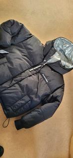 Colourful Rebel Jas - Maat M, Kleding | Dames, Jassen | Winter, Maat 38/40 (M), Zwart, Colourful Rebel, Ophalen of Verzenden