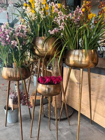 Prachtige potten op voetstukken beschikbaar voor biedingen