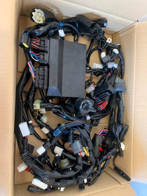Yamaha YZF R1 2024 kabelboom, ecu (flash) en contactslot, Motoren, Onderdelen | Yamaha, Nieuw, Verzenden