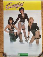Centerfold (Nl) muziek poster 52 x 36 cm, Verzamelen, Ophalen of Verzenden, Zo goed als nieuw, Poster, Artwork of Schilderij
