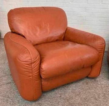Fauteuil twee Piumotto lounge Chairs van Arrigo Arrigoni beschikbaar voor biedingen
