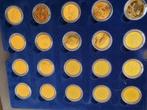 setje van 50 exclusief state-Quaters gold set van jaar 1999, Ophalen of Verzenden, Overige landen, Setje