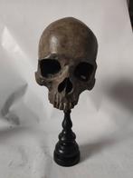 Realistische replica Schedel zonder onderkaak op standaard., Ophalen of Verzenden