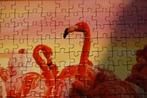 Puzzel Flamingo Dance., Ophalen of Verzenden, 500 t/m 1500 stukjes, Nieuw, Legpuzzel
