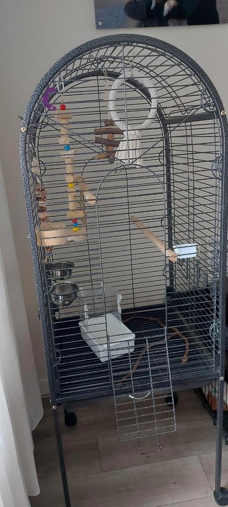 Grote vogelkooi 57 cm breed, 57 cm diep en 158,5 cm hoog, Dieren en Toebehoren, Vogels | Hokken en Kooien, Zo goed als nieuw, Vogelkooi