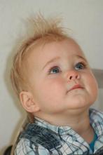 Twente : Achtervang ervaren gastouder diploma gastouder), Gastouders