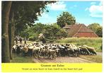 911902	Exloo	Drenthe	schaapskudde	herder	Gelopen met zegel