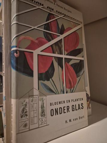 Bloemen en Planten Onder Glas - H. W. van Dort beschikbaar voor biedingen