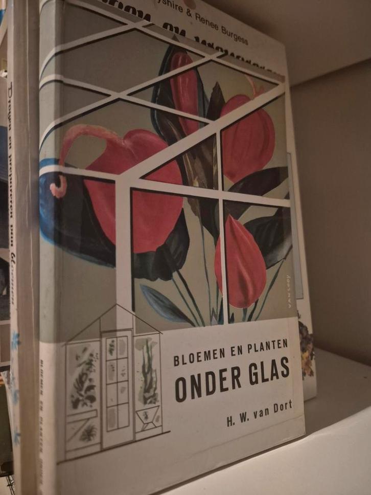 Bloemen en Planten Onder Glas - H. W. van Dort, Boeken, Hobby en Vrije tijd, Gelezen, Overige onderwerpen, Ophalen of Verzenden