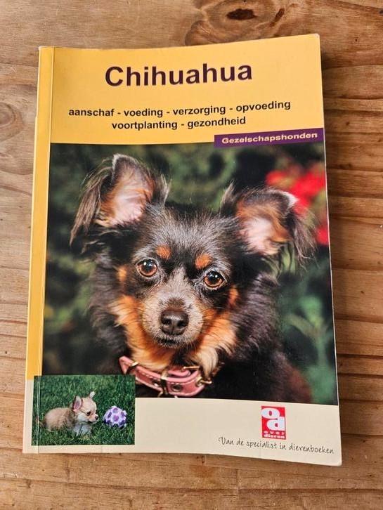 Chihuahua, Boeken, Dieren en Huisdieren, Zo goed als nieuw, Honden, Ophalen of Verzenden