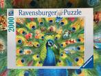 Ravensburger Puzzel Pauw - 2000 Stukjes, Hobby en Vrije tijd, Denksport en Puzzels, Ophalen, Meer dan 1500 stukjes, Zo goed als nieuw