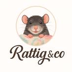 De leukste knaagdieren accessoires, Dieren en Toebehoren, Knaagdieren, Rat, Maart, Geslacht onbekend, Tam