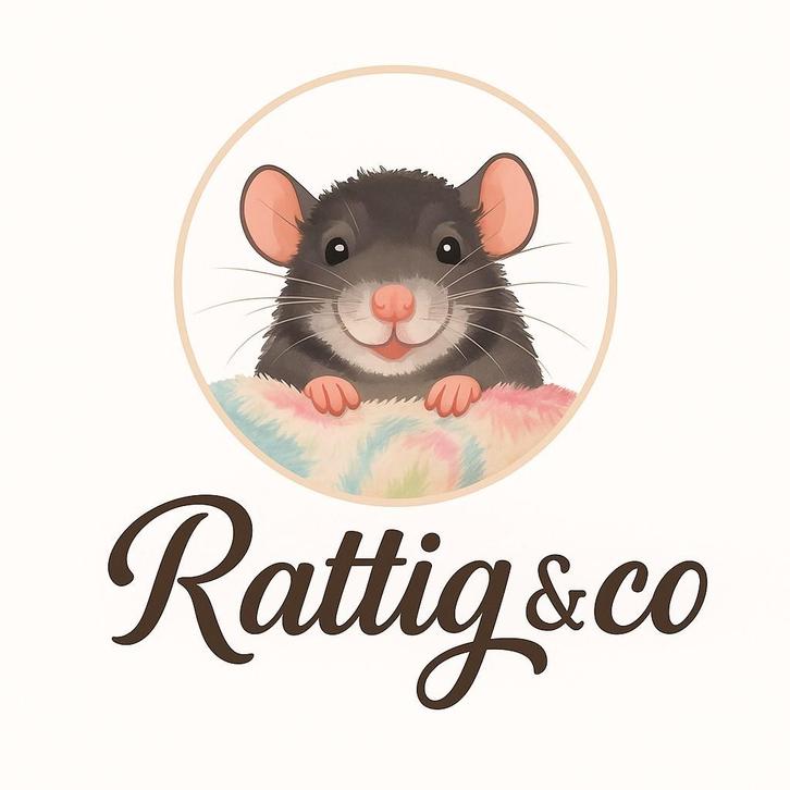 De leukste knaagdieren accessoires, Dieren en Toebehoren, Knaagdieren, Geslacht onbekend, Rat, Maart, Tam