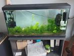 100L juwel aquarium, Ophalen, Zo goed als nieuw, Leeg aquarium
