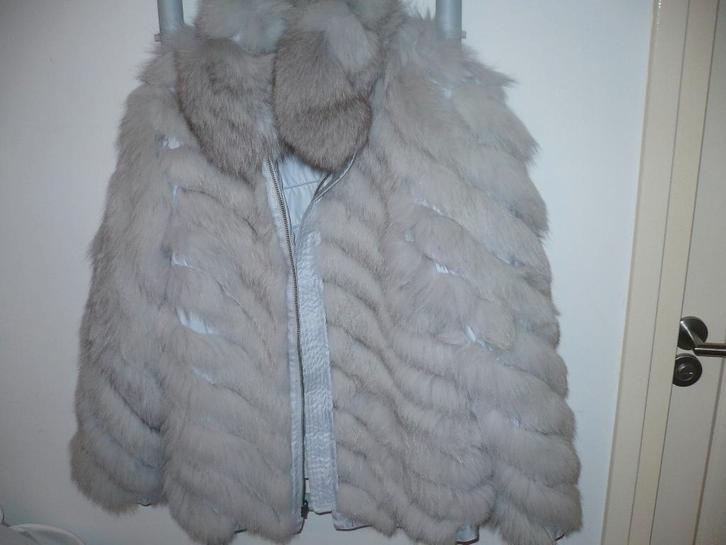 1 zilvervos winterdamesbondjas blauwachtig, Kleding | Dames, Jassen | Winter, Zo goed als nieuw, Maat 42/44 (L), Grijs, Ophalen of Verzenden