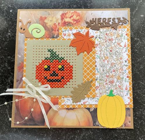 Nr 13 wenskaart met borduurwerkje pompoen herfst, Hobby en Vrije tijd, Kaarten | Zelfgemaakt, Nieuw, Overige thema's, Ophalen of Verzenden