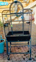 Grote vogelkooi met standaard/ speeltjes, Verzenden, Zo goed als nieuw, Metaal, Vogelkooi