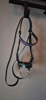 Hobbyhorse hoofdstel, Ophalen of Verzenden, Nieuw