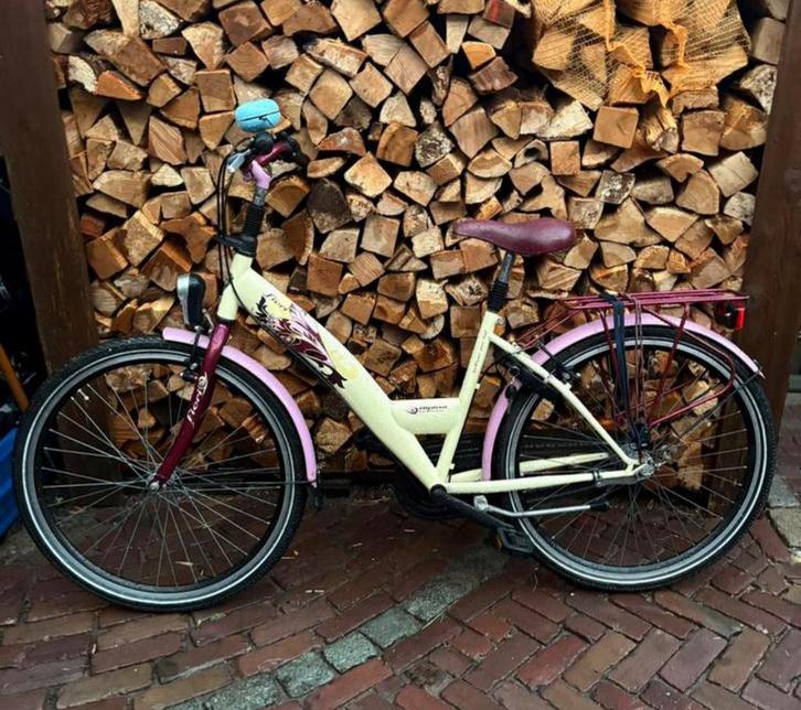 Alpina Girlpower Fiori 26” - € 100,- = vaste prijs, Fietsen en Brommers, Fietsen | Meisjes, Gebruikt, 26 inch of meer, Handrem