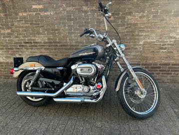 Harley-Davidson XL1200C Sportster custom beschikbaar voor biedingen
