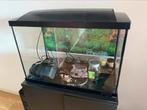 Aquarium, Dieren en Toebehoren, Ophalen, Gebruikt, Leeg aquarium