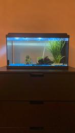 Led aquarium