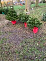 Kerstboom kerstbomen, Ophalen of Verzenden, Overige soorten, Minder dan 100 cm