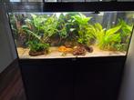 Aquarium aqualantis 100cm eheim professional 4+, Dieren en Toebehoren, Vissen | Aquaria en Toebehoren, Ophalen, Zo goed als nieuw