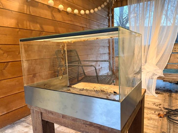 Terrarium 60x40x40, Dieren en Toebehoren, Knaagdieren en Konijnen | Hokken en Kooien, Zo goed als nieuw, Kooi, Minder dan 60 cm