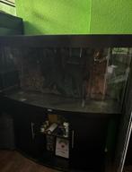 Meerdere aquaria, Dieren en Toebehoren, Vissen | Aquaria en Toebehoren, Ophalen, Gebruikt, Leeg aquarium