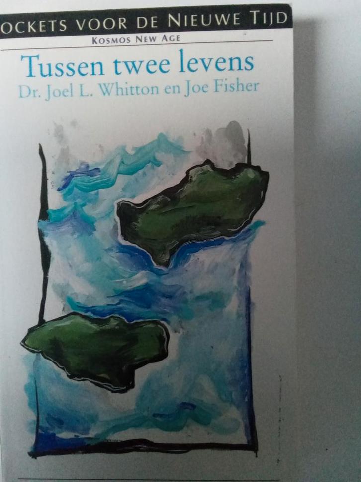 Tussen Twee Levens - Whitton & Fisher, Boeken, Esoterie en Spiritualiteit, Gelezen, Achtergrond en Informatie, Ziel of Sterfelijkheid