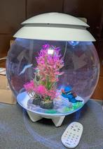 Biorb Halo 15 + interior and more, Dieren en Toebehoren, Vissen | Aquaria en Toebehoren, Ophalen, Zo goed als nieuw, Gevuld zoetwateraquarium