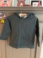 Gray label Hoodie 2/3 jaar, Ophalen of Verzenden, Gebruikt, Truitje of Vestje
