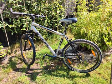 Bulls 3-50 Sport beschikbaar voor biedingen