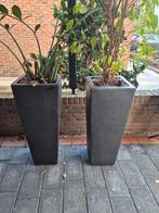 Prachtige, zeer zware stenen bloempotten in antraciet kleur., Tuin en Terras, Ophalen, Tuin, Steen, Minder dan 30 cm
