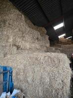 Gerste stro, kleine pakjes, Ophalen, Vee