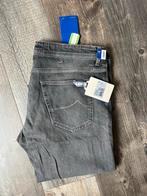 Jacob Cohën maat 38 nieuw, W36 - W38 (confectie 52/54), Nieuw, Ophalen of Verzenden, Jacob Cohen
