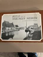 Beeld van de Harlinger werken, de oude Trekvaart en omgeving, Ophalen of Verzenden, 17e en 18e eeuw, Gelezen