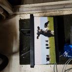 Krat voor fiets, Ophalen of Verzenden