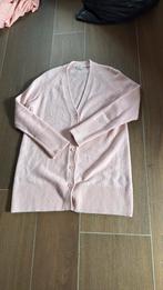 Pauw Amsterdam vest maat 38 als nieuw!!!, Kleding | Dames, Truien en Vesten, Ophalen of Verzenden, Zo goed als nieuw, Maat 38/40 (M)