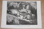 Antieke gravure - Opossum of buidelrat - 1834  !!, Ophalen of Verzenden