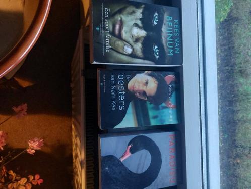 Serie boeken van Kees van Beijnum (3 stuks), Boeken, Literatuur, Zo goed als nieuw, Nederland, Ophalen of Verzenden