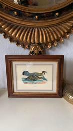 Vintage lijstje met vogel, Minder dan 50 cm, Minder dan 50 cm, Gebruikt, Ophalen of Verzenden