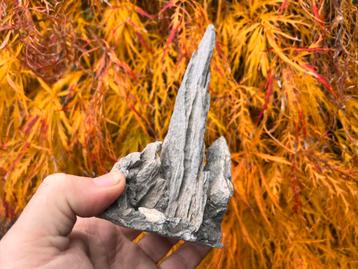 Bonsai Penjing rots ca. 9,5x6x17,1 beschikbaar voor biedingen